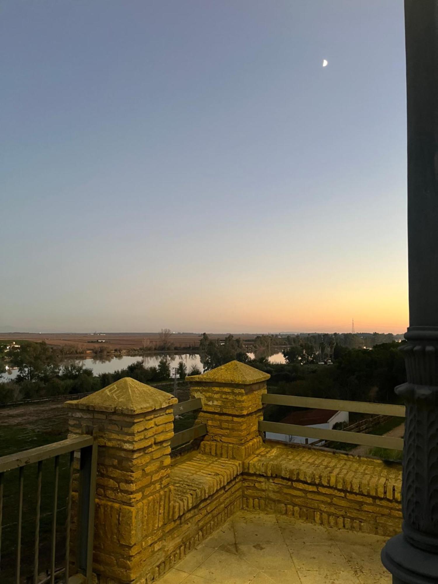 Estudio Las Palmillas Puebla del Río Exterior foto